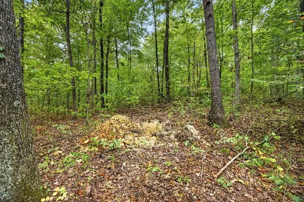 0 Colepin Lane, Celina, TN 38551