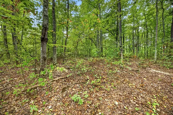 0 Colepin Lane, Celina, TN 38551