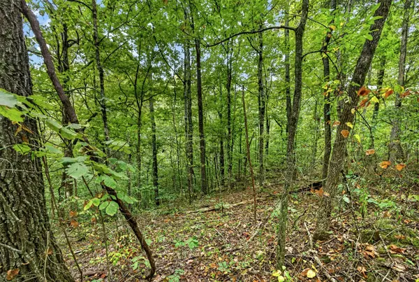 0 Timber Ridge Lane, Celina, TN 38551