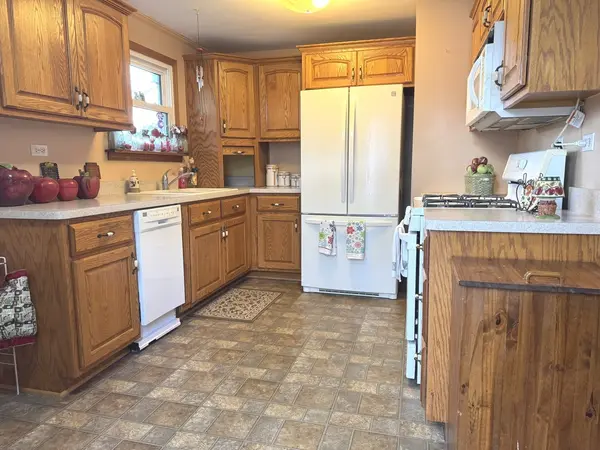1032 Kim PL, Lemont, IL 60439