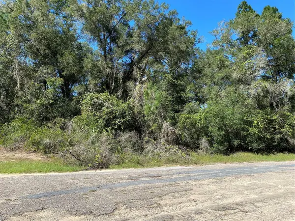 445 E PANAMA DR, Citrus Springs, FL 34434