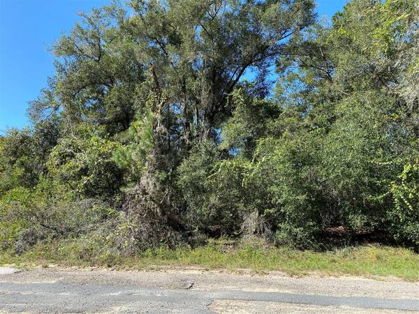 445 E PANAMA DR, Citrus Springs, FL 34434