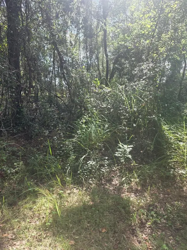 TBD SE 136TH LN, Belleview, FL 34420