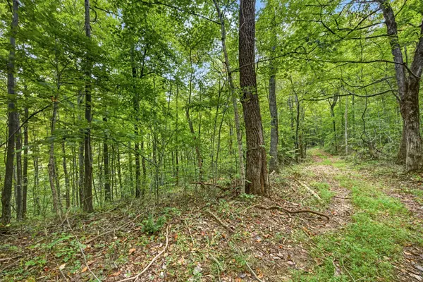 0 Timber Ridge Lane, Celina, TN 38551