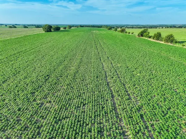 000 Jade Rd, Peabody, KS 66866
