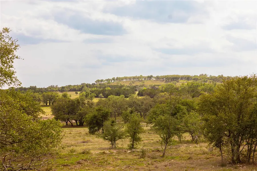 2551 Prochnow RD, Dripping Springs, TX 78620