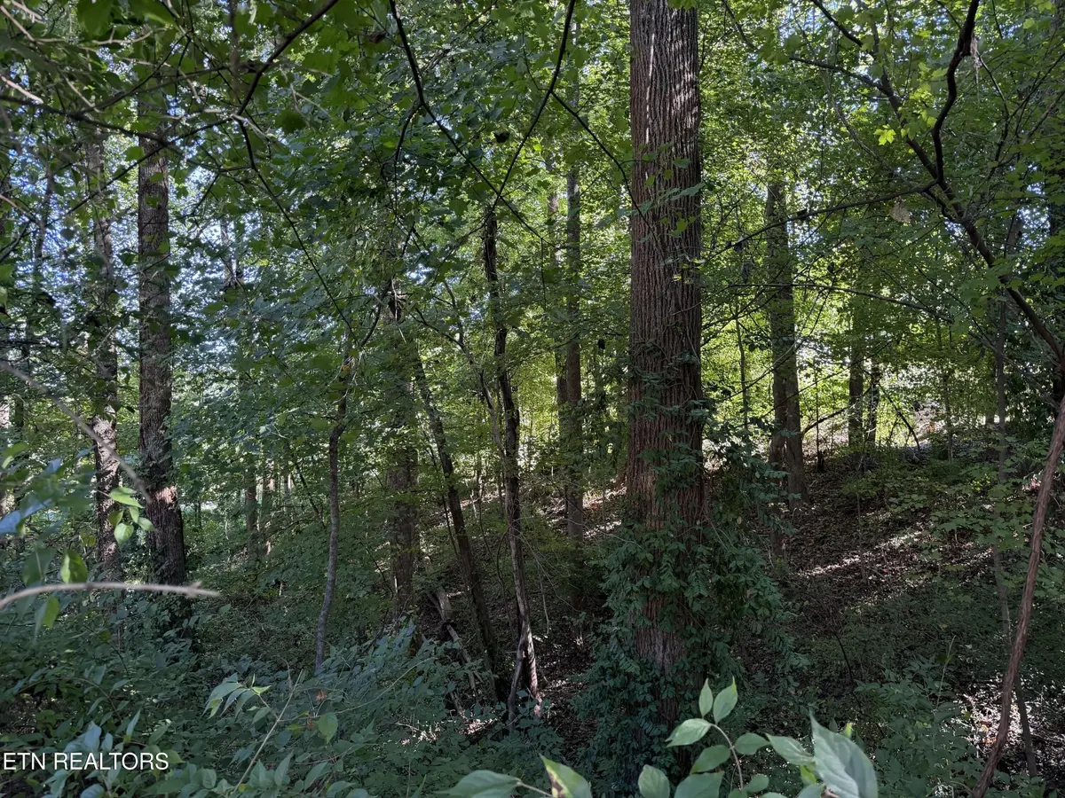 0 Flint Rd, Knoxville, TN 37921