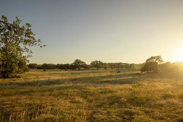 2427 Prochnow RD, Dripping Springs, TX 78620