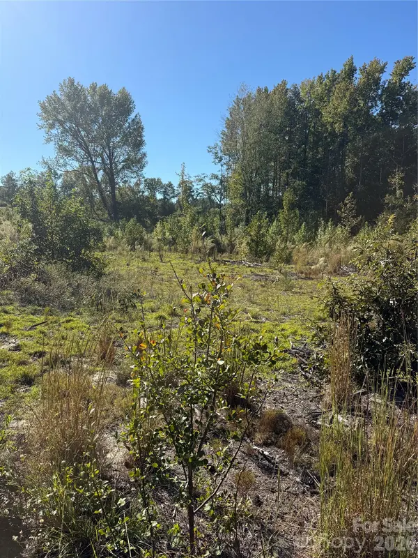 TBD Rock House RD, Mount Croghan, SC 29727