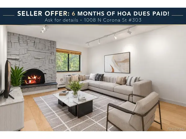 1008 N Corona #303, Denver, CO 80218