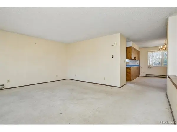 29170 Pinon Circle, Buena Vista, CO 81211