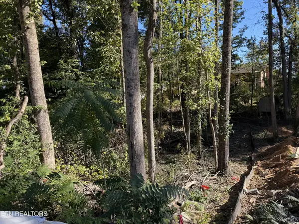 0 Flint Rd, Knoxville, TN 37921