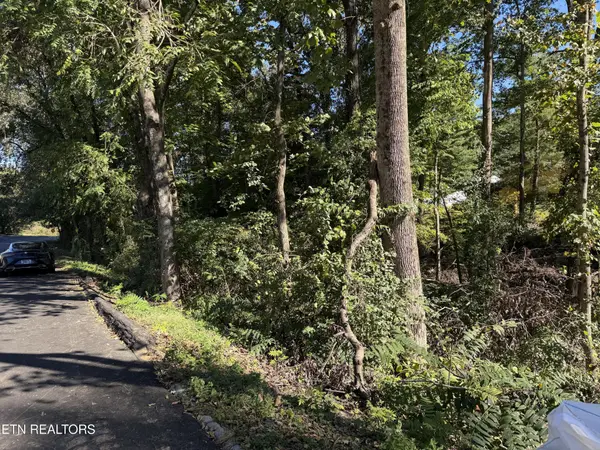 0 Flint Rd, Knoxville, TN 37921