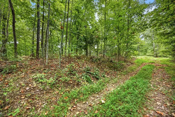 0 Timber Ridge Lane, Celina, TN 38551