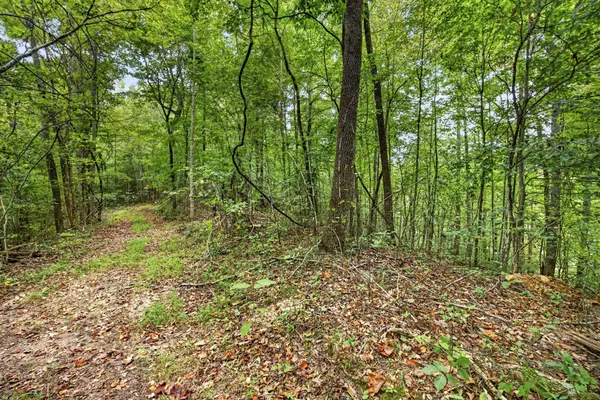 0 Timber Ridge Lane, Celina, TN 38551