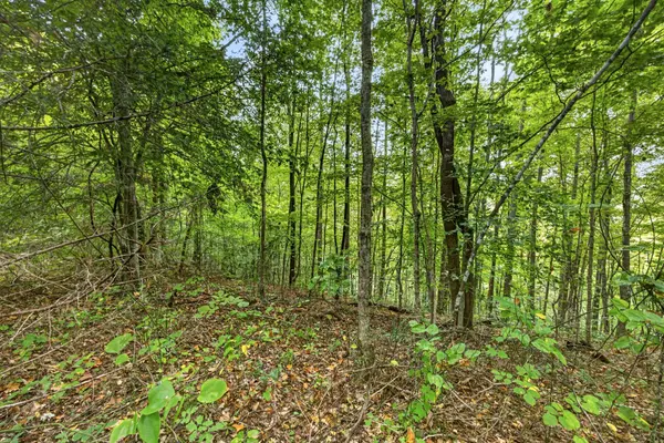 0 Timber Ridge Lane, Celina, TN 38551