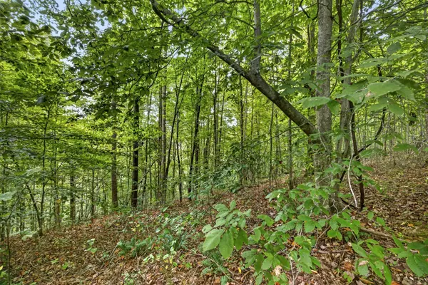 0 Timber Ridge Lane, Celina, TN 38551