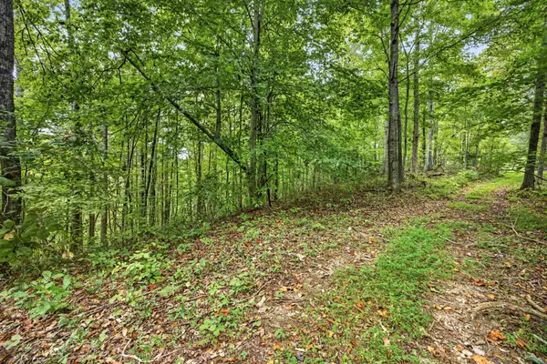 0 Timber Ridge Lane, Celina, TN 38551