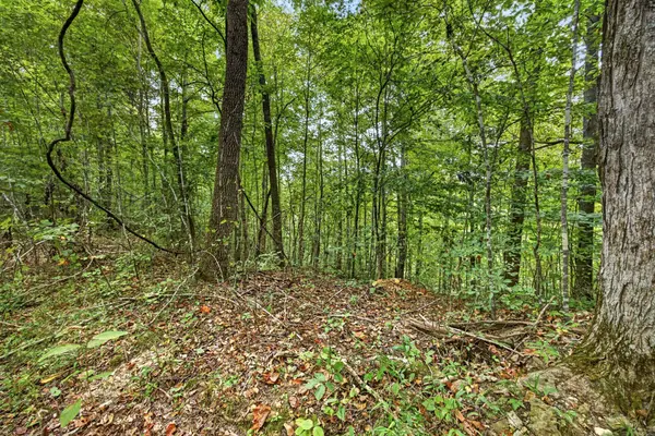 0 Timber Ridge Lane, Celina, TN 38551