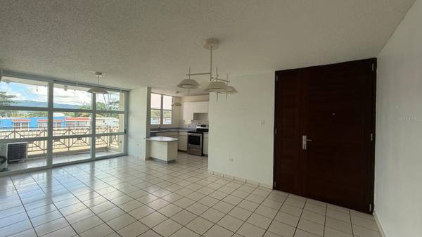 204 PARQUE SAN ANTONIO, Caguas, PR 00725