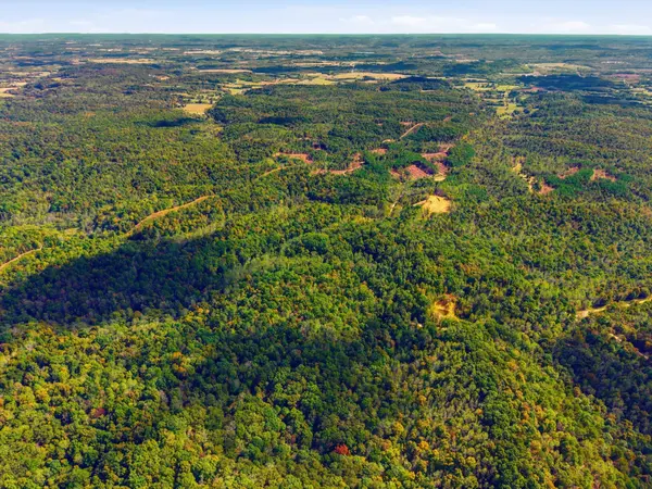 0 Baptist Branch Rd, Mount Pleasant, TN 38474