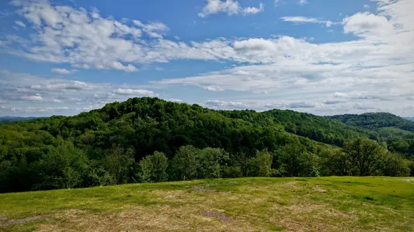0 Burke Hollow Road, Nolensville, TN 37135