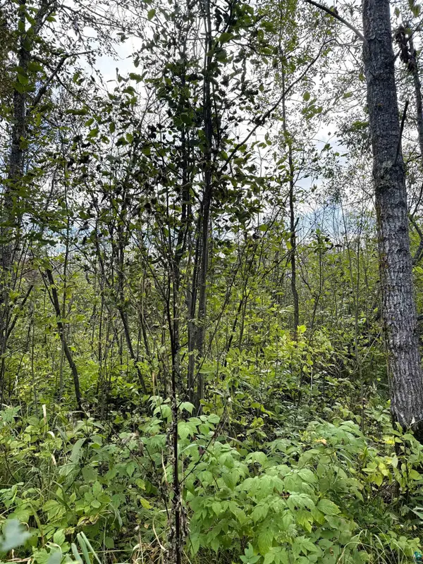 tbd Trail Rd, Barnum, MN 55707