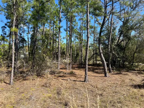 28019 TREADMILL DR, Punta Gorda, FL 33955