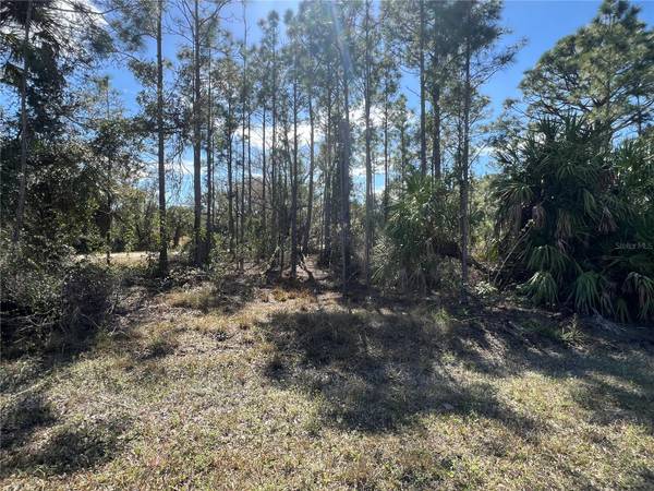 28019 TREADMILL DR, Punta Gorda, FL 33955