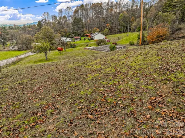 3045 Double Island RD, Green Mountain, NC 28740