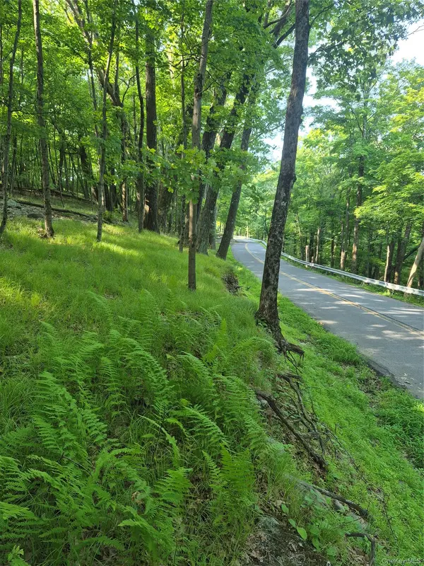 TBD Bottling Works, Cragsmoor, NY 12420
