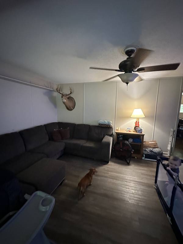 845 Allen Rd, Williston, TN 38076