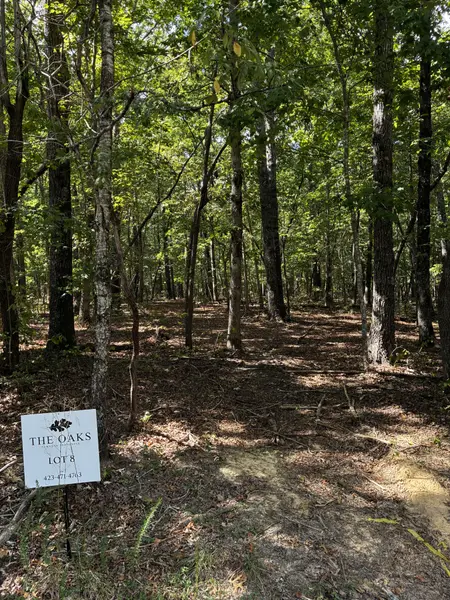 0 Deepwoods Rd, Sewanee, TN 37375