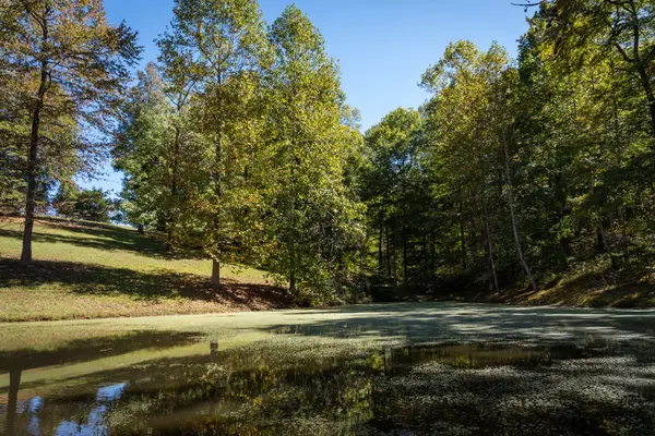 4325 Cave Springs Rd, Columbia, TN 38401