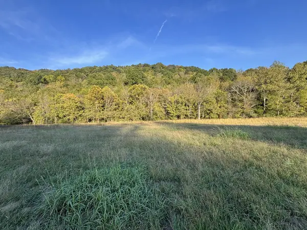 50 Shady Circle, Pleasant Shade, TN 37145