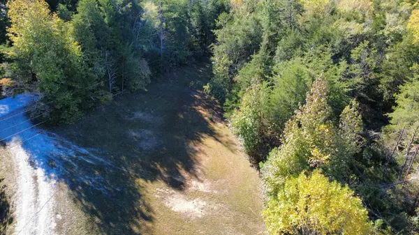 815 McCord Hollow Rd, Hohenwald, TN 38462