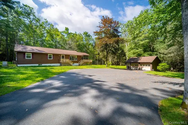 132 Proctor RD, Eldred, NY 12732