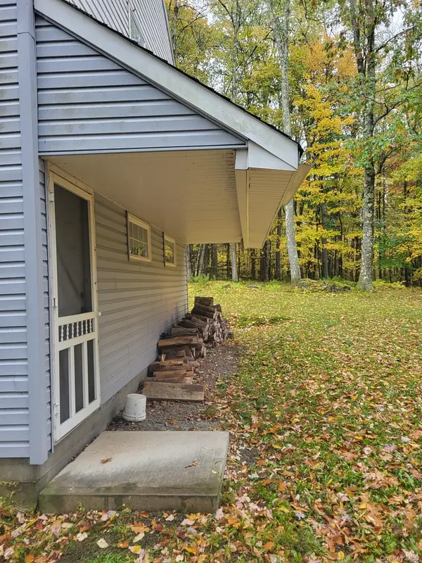 1756 Fuller Hill RD, Downsville, NY 13755