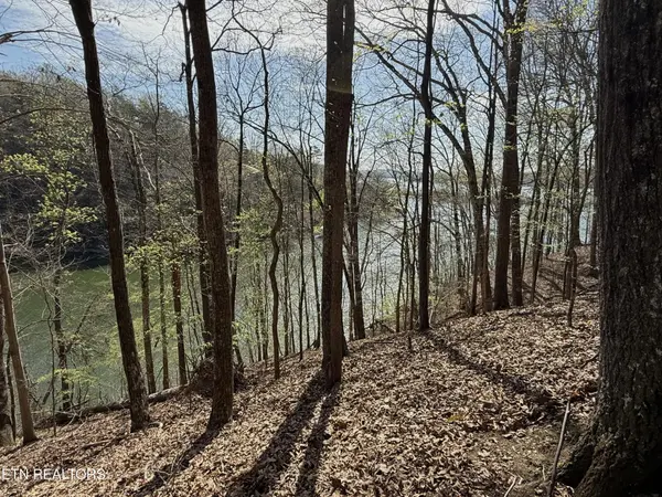 0 Eerie Point, Rockwood, TN 37854