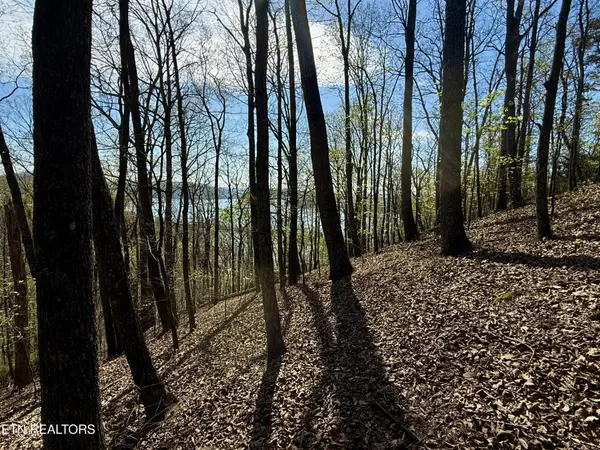 39 Eerie Point, Rockwood, TN 37854