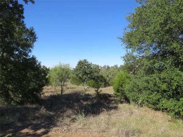 Lot 50 Pristine PASS, Buchanan Dam, TX 78609