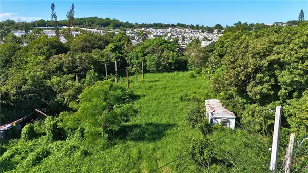 Bo Miradero SECTOR PARABUEYON CALLE MI FAMILIA CARR 102, Cabo Rojo, PR 00623