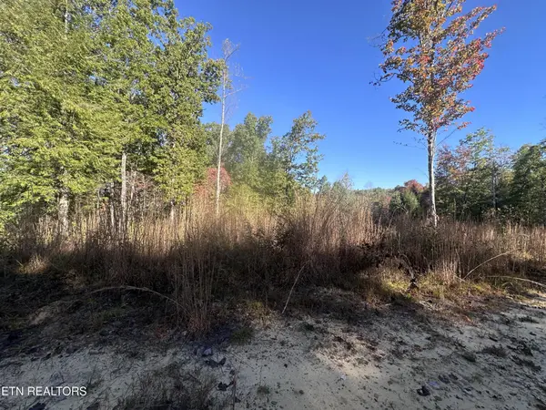 137 Laurel Rd, Jamestown, TN 38556