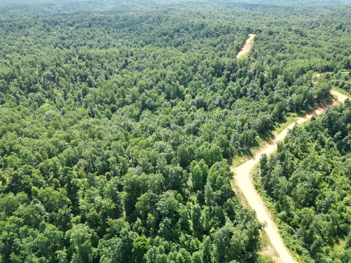 0B Black Bear Rd, Linden, TN 37096