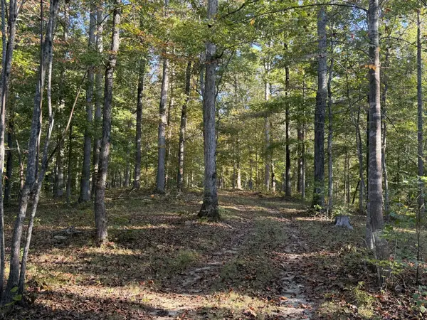 1 Caney Fork Rd, Fairview, TN 37062