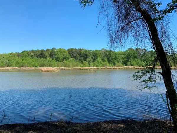 TBD FM 3506, Chandler, TX 75758