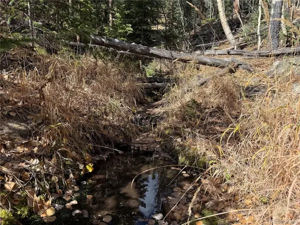 Ute Creek, Idaho Springs, CO 80452