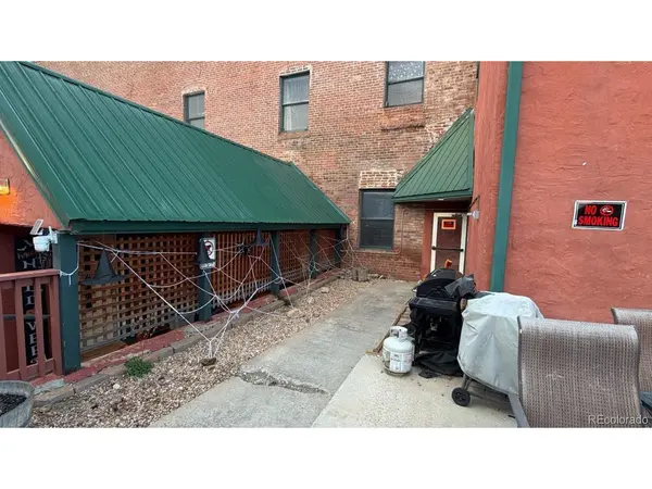 118 W 2nd #D, Leadville, CO 80461