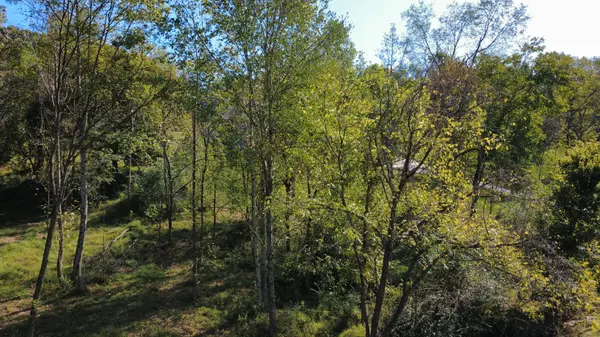 153 Lena Loop, Burns, TN 37029