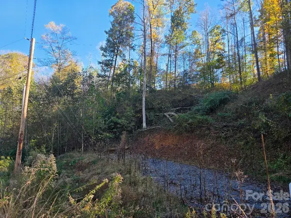 TBD Buckeye Hollow RD, Bakersville, NC 28705